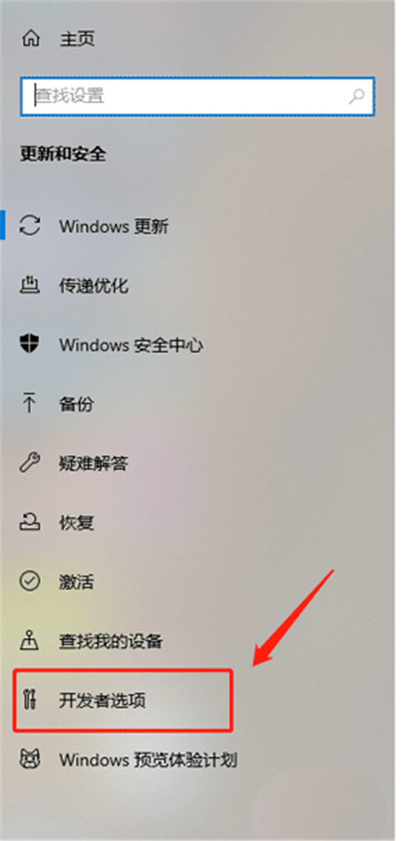 Win10怎么開啟開發人員模式？