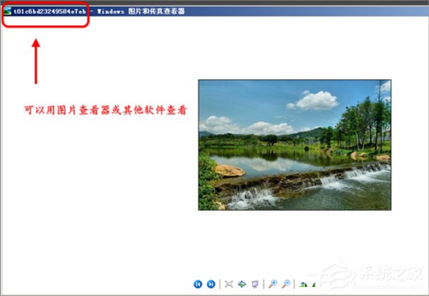 WinXP縮略圖不顯示文件名怎么辦？