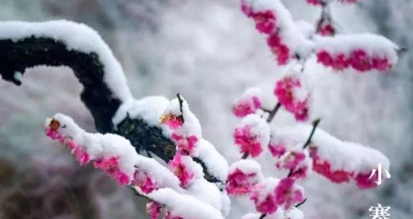 又是一年小寒日，小寒詩詞你可知？朋友圈文案有著落了