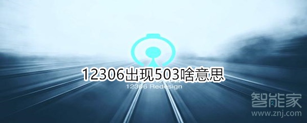 12306出現503啥意思