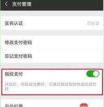 榮耀20s怎么設置微信指紋支付