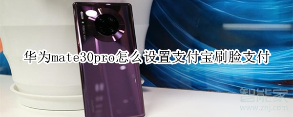 華為mate30pro怎么設置支付寶刷臉支付