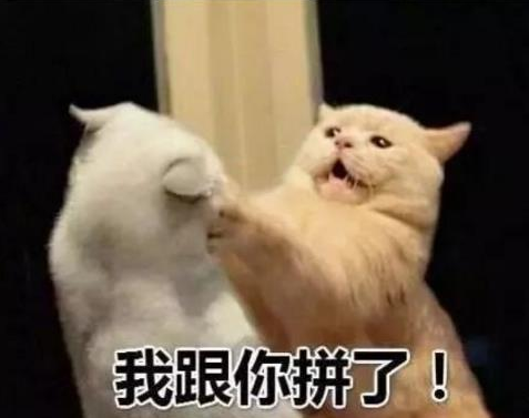 抖音新農合是什么意思？新農合干一架是什么梗