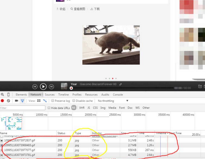 網易云音樂gif動圖怎么下載保存？下載保存gif動圖步驟分享