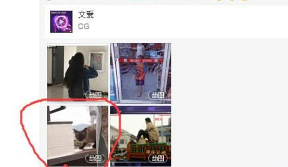 網易云音樂gif動圖怎么下載保存？下載保存gif動圖步驟分享