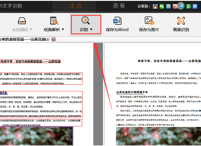 捷速OCR文字識別軟件怎么把PDF圖片轉為Word文字？PDF圖片轉為Word文字步驟一覽