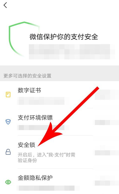 微信APP怎么設置支付安全鎖？設置支付安全鎖方法講解