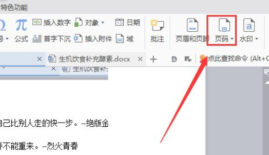 wps2007如何插入頁碼？wps2007插入頁碼圖文介紹