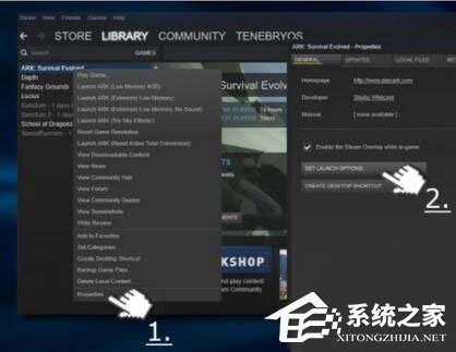 Win10玩生存進化報錯“視頻驅動程序崩潰并被重置”怎么解決？