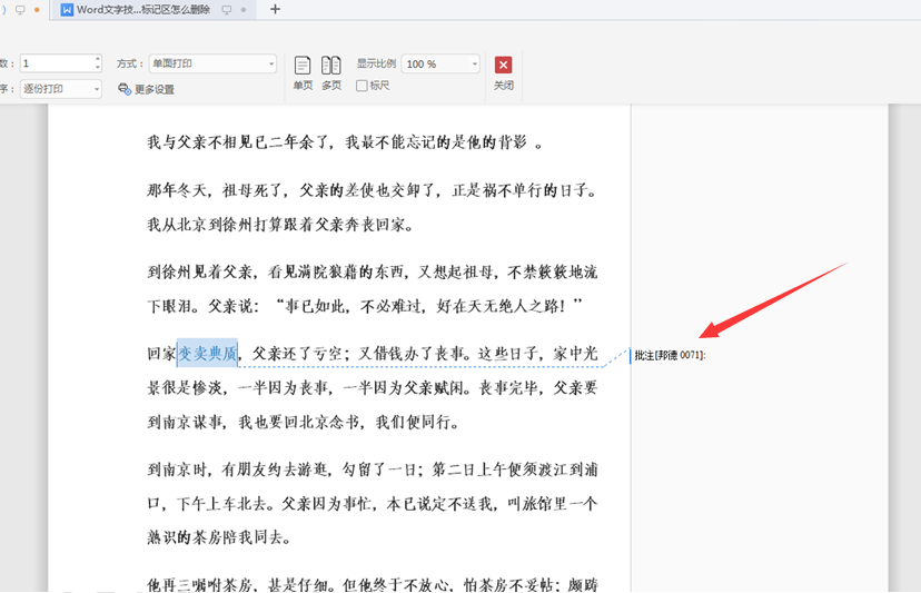 WPSWord文檔標記區怎么刪除