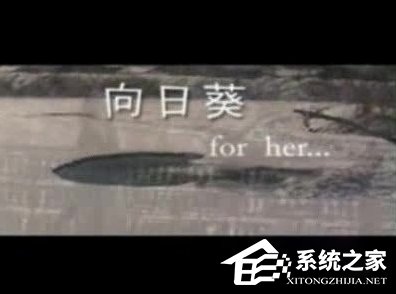 WinXP系統怎么打開DAT格式文件？