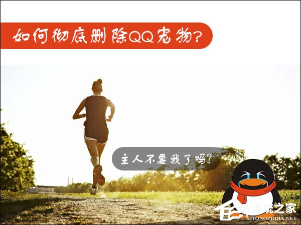 Win7如何卸載QQ寵物？關閉QQ寵物自動登錄的方法