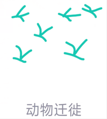 qq畫圖紅包動物遷徙怎么畫？QQ畫圖紅包動物遷徙畫法分享