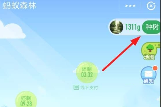 在支付寶里怎么認領螞蟻森林保護地？認領螞蟻森林保護地的方法說明