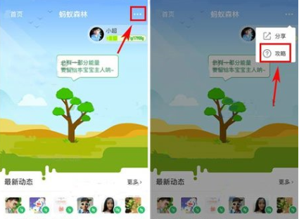 在支付寶里怎么將行走捐打開？將行走捐打開的步驟一覽