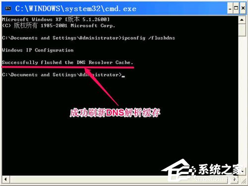 WinXP無法清除DNS緩存怎么解決？