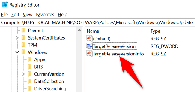 怎么阻止在Win10上安裝Windows11更新？