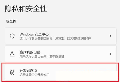 Win11怎么開啟開發者選項？Win11打開開發人員選項教程