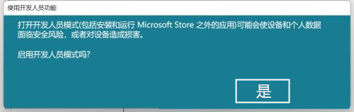 Win11怎么開啟開發者選項？Win11打開開發人員選項教程