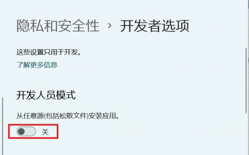 Win11怎么開啟開發者選項？Win11打開開發人員選項教程