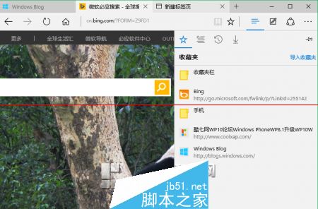 win10正式版Edge瀏覽器收藏夾在什么位置？收藏夾具體位置說明