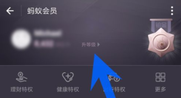 支付寶如何查看螞蟻會員積分？螞蟻會員積分查看步驟介紹