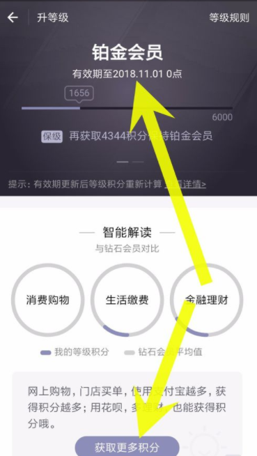支付寶如何查看螞蟻會員積分？螞蟻會員積分查看步驟介紹
