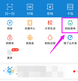 支付寶螞蟻森林怎么設置能量可收取提醒？設置能量可收取提醒方法分享