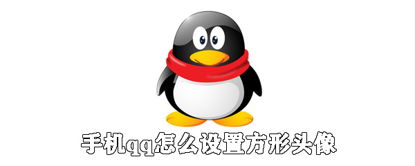 手機qq如何設置方形頭像？qq方形頭像設置步驟一覽