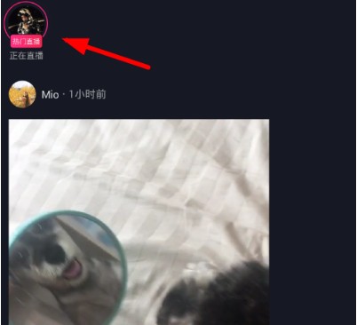 抖音怎么加入粉絲團？加入粉絲團方法說明