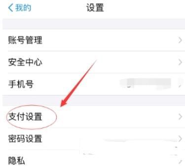 支付寶如何設置高德地圖免密支付？設置免密支付的方法說明