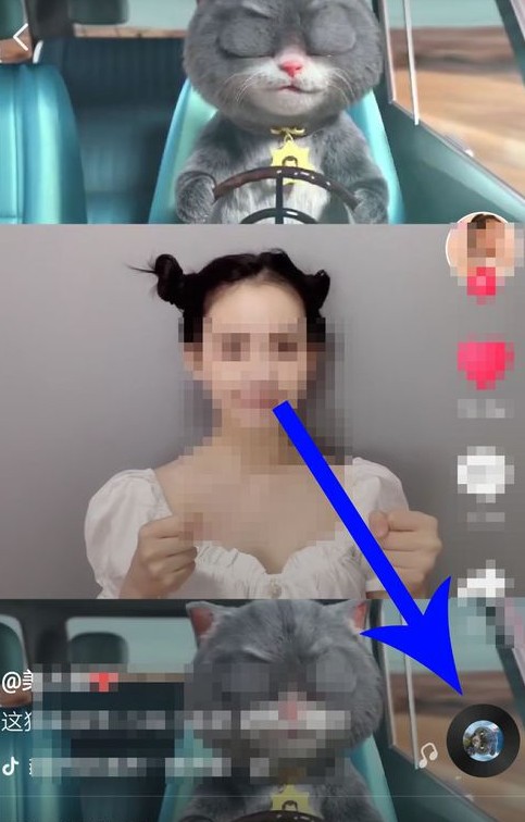 抖音中與斑布貓怎么合拍？合拍的具體步驟分享