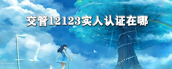 交交管12123怎么實人認證？交管12123實人認證方法分享