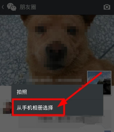 微信朋友圈如何轉發？朋友圈內容轉發方法介紹