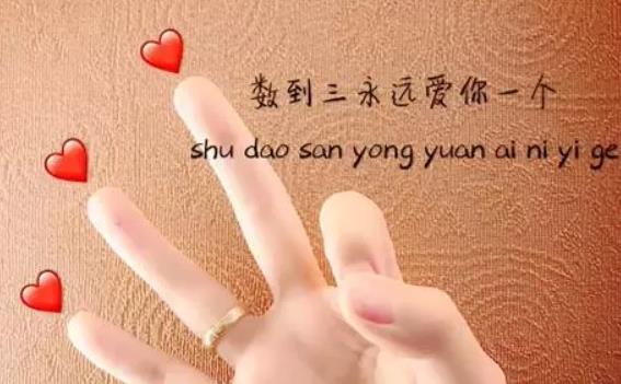 抖音手語表白手勢怎么做？手語表白圖片分享