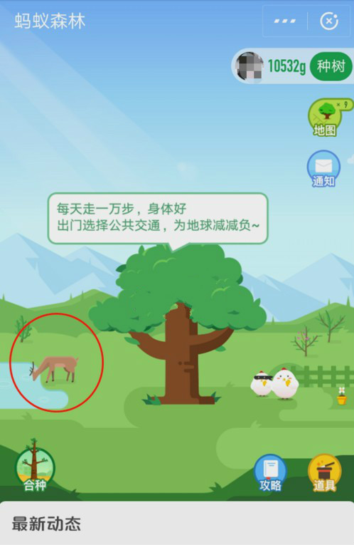 怎么在螞蟻森林首頁有小鹿？小鹿獲取攻略分享