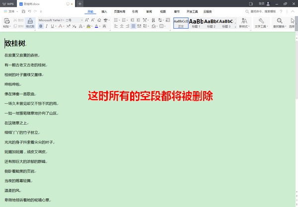 wps2019中批量刪除空段具體操作方法