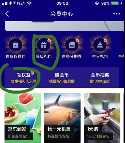 京東白條臨時額度不見了怎么辦