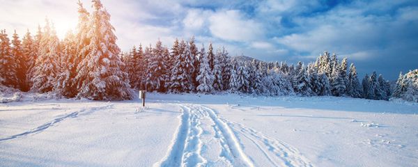 關于下雪的文案 朋友圈下雪的文案