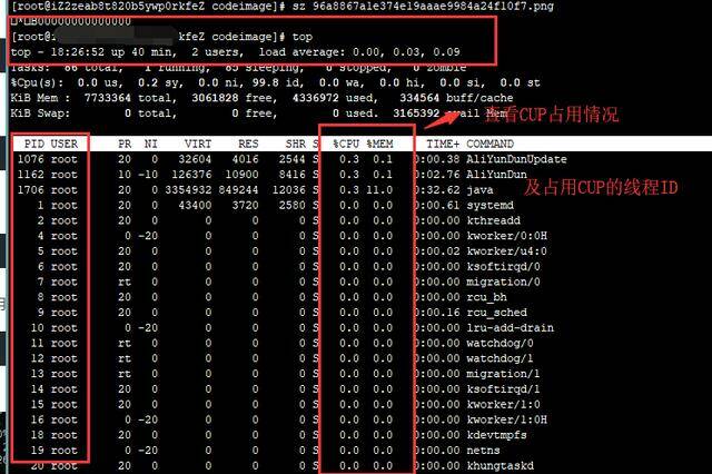 Java進程cpu占用過高問題解決