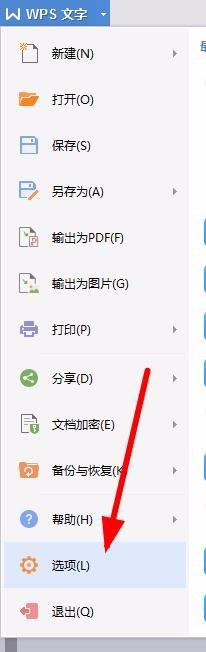 WPS設置禁止標點符號在行首顯示具體操作流程