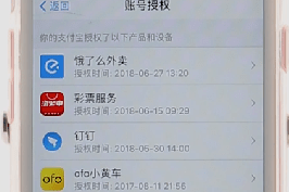 支付寶中查看授權軟件具體操作流程