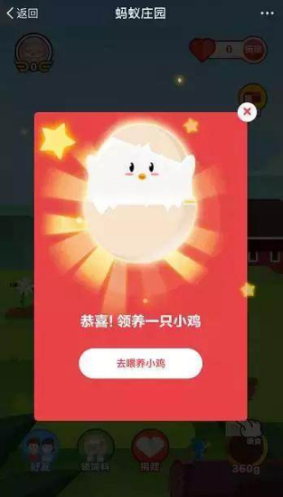 支付寶養雞的好處是什么？支付寶養雞在哪里養？