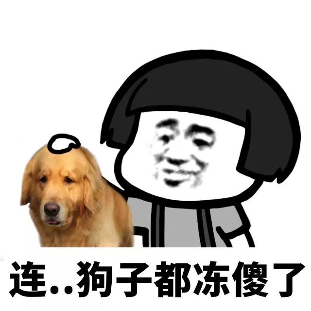 抖音我家床塌了停水了停電了表情包是什么？抖音我家床塌了表情包介紹！