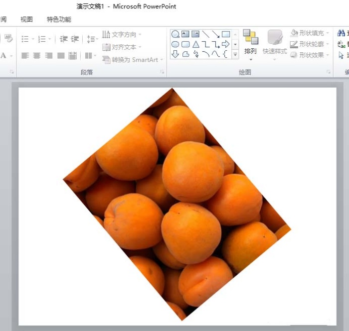 ppt中旋轉圖片具體操作方法