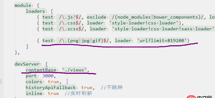 javascript - 請教大俠，webpack打包圖片的時候，頁面上顯示不出來，還有網站根目錄的疑問？
