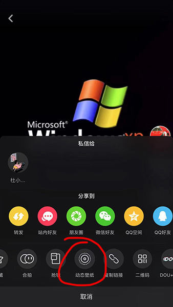 抖音XP系統動態壁紙如何設置？抖音XP系統動態壁紙設置方法攻略介紹!