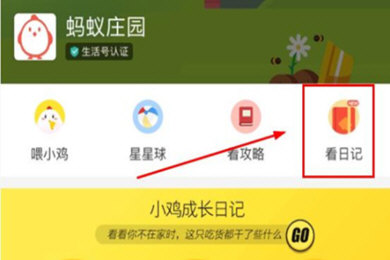 支付寶螞蟻莊園小雞信息如何修改？支付寶螞蟻莊園小雞信息修改攻略介紹！