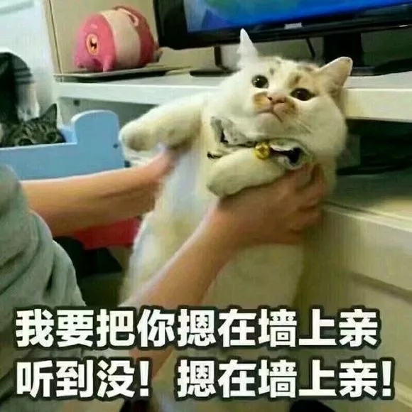 抖音我要把你摁在墻上親表情包是什么？抖音我要把你摁在墻上親表情包介紹！