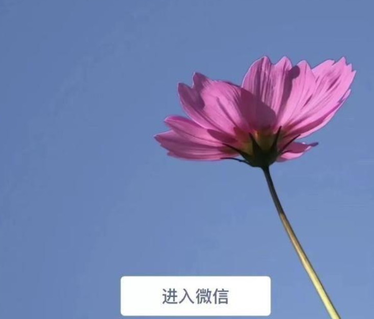 微信7.0后悔更新了如何恢復？微信7.0后悔更新后恢復方法教程解答！